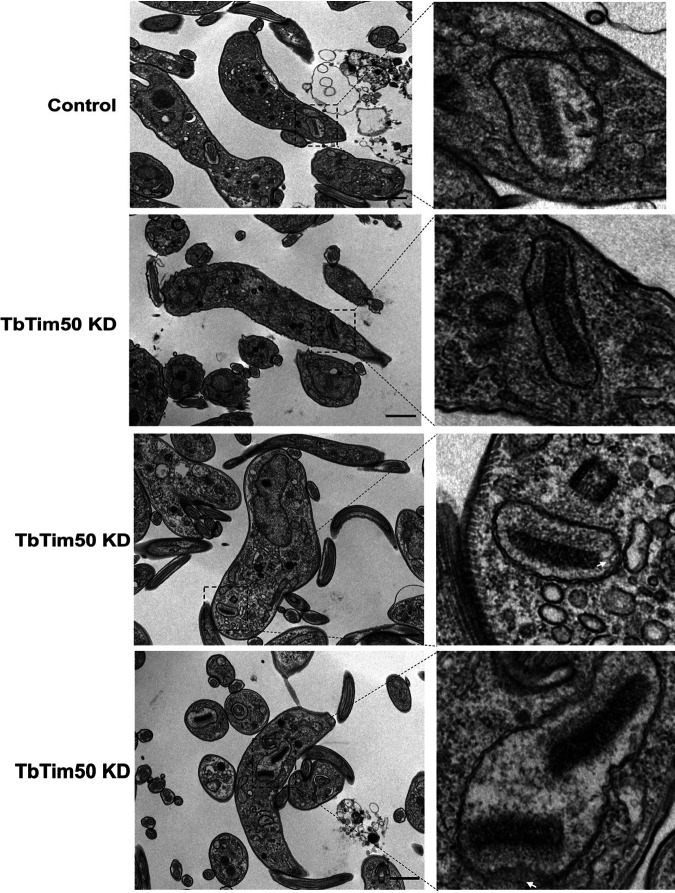 FIG 6