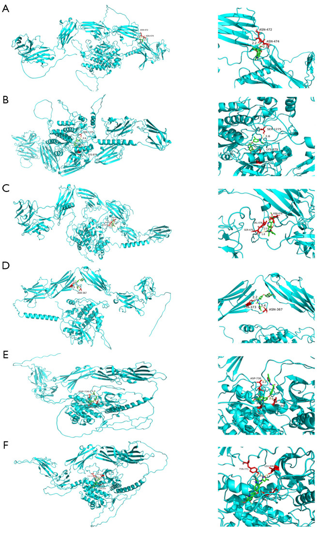 Figure 10