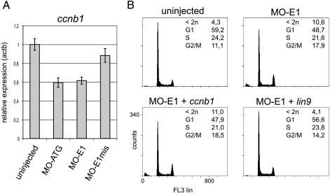 FIGURE 6.