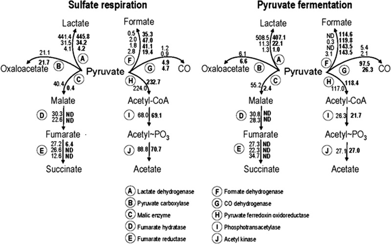 FIG 3