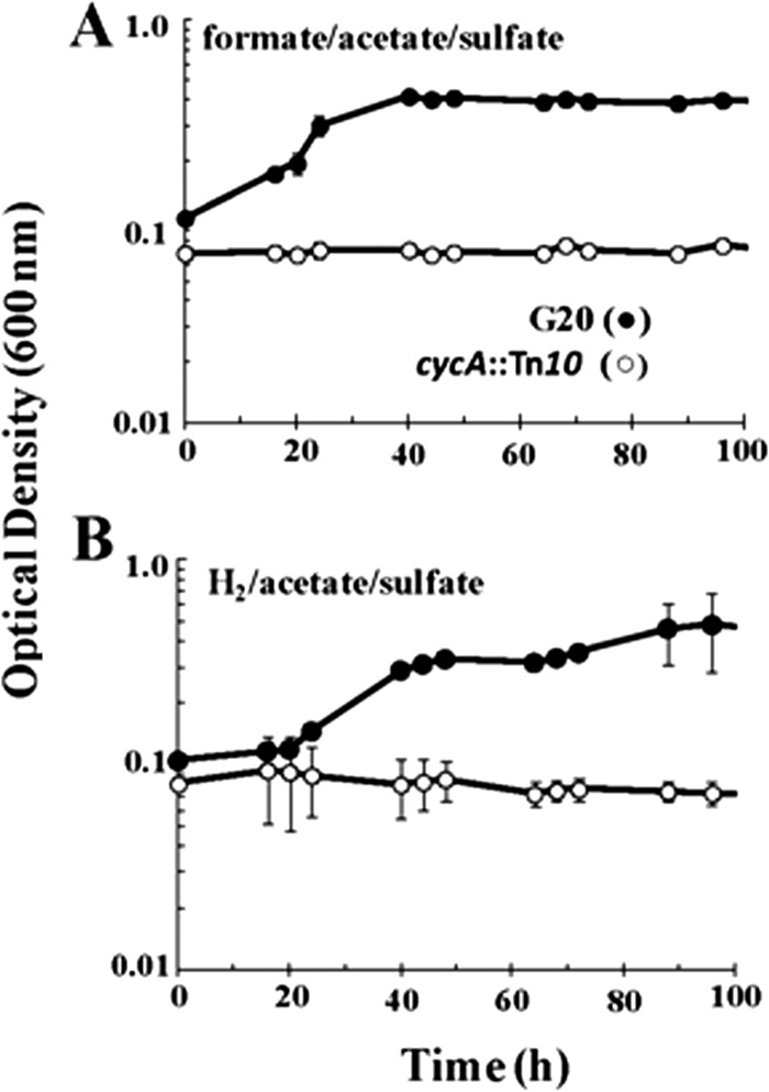 FIG 2