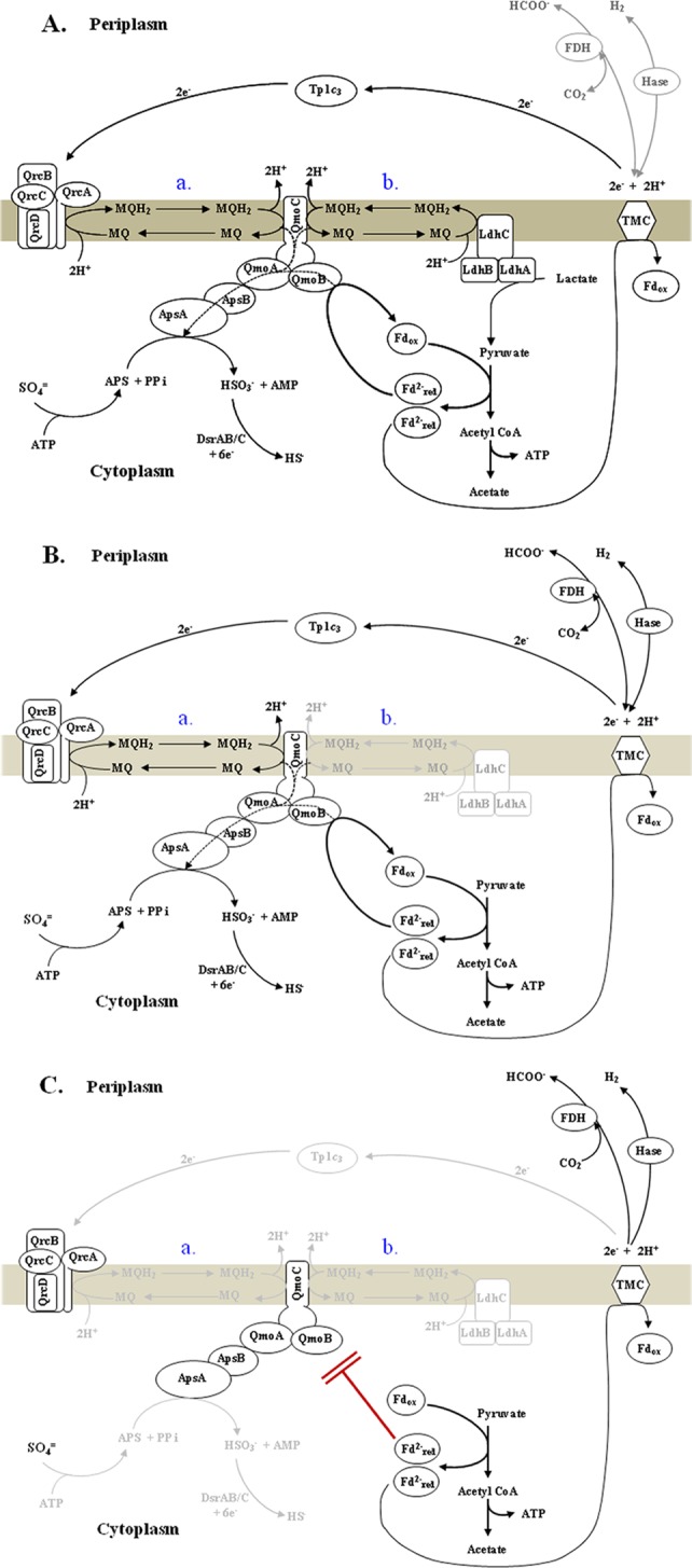 FIG 4