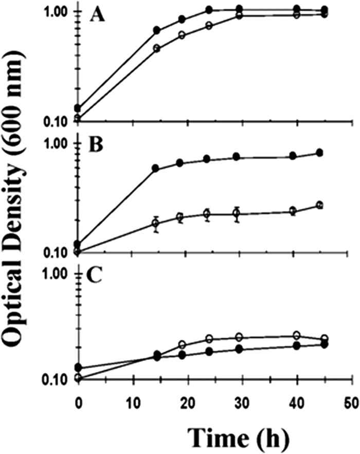 FIG 1