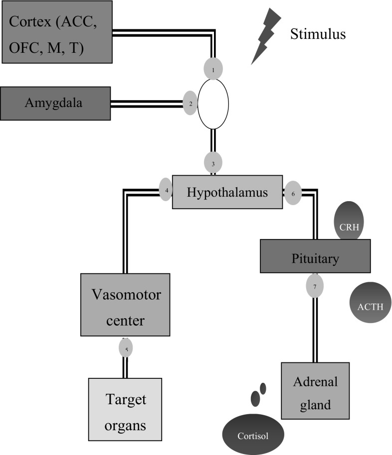 Fig. 1