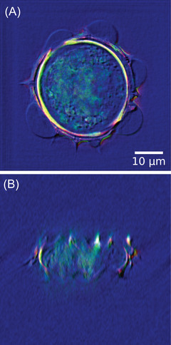 FIGURE 14