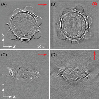 FIGURE 13