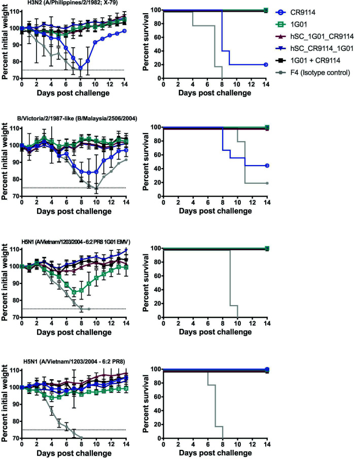 Graphs, virus versus percent survival, feature how antibody treatments, mAb, bsAb, and control, affect mouse survival after infection with a set dose of various influenza viruses.