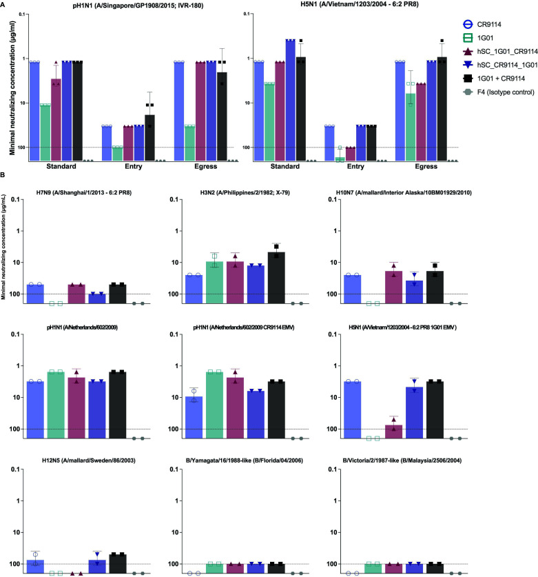 Graphs quantify virus neutralization activity of bsAbs against pH1N1 and H5N1 influenza viruses and against various influenza A and B virus strains, including antibody-resistant ones.