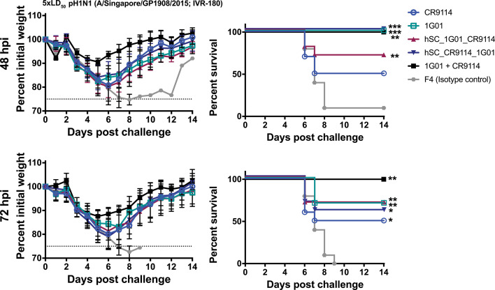 Survival curves, time versus percent survival, and treatment versus percent survival feature antibody treatments at 48 or 72 hours hpi, bsAb, mAb, cocktail, and control, affecting survival after infection with influenza virus.