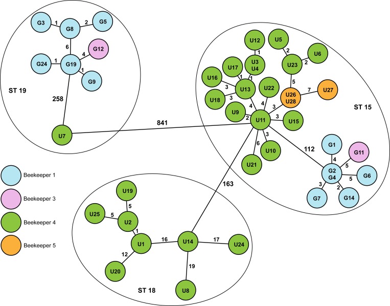 Fig 2