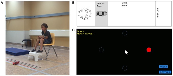 FIGURE 1