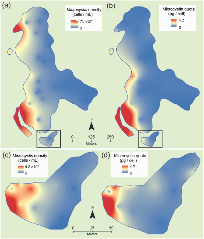 Fig 2