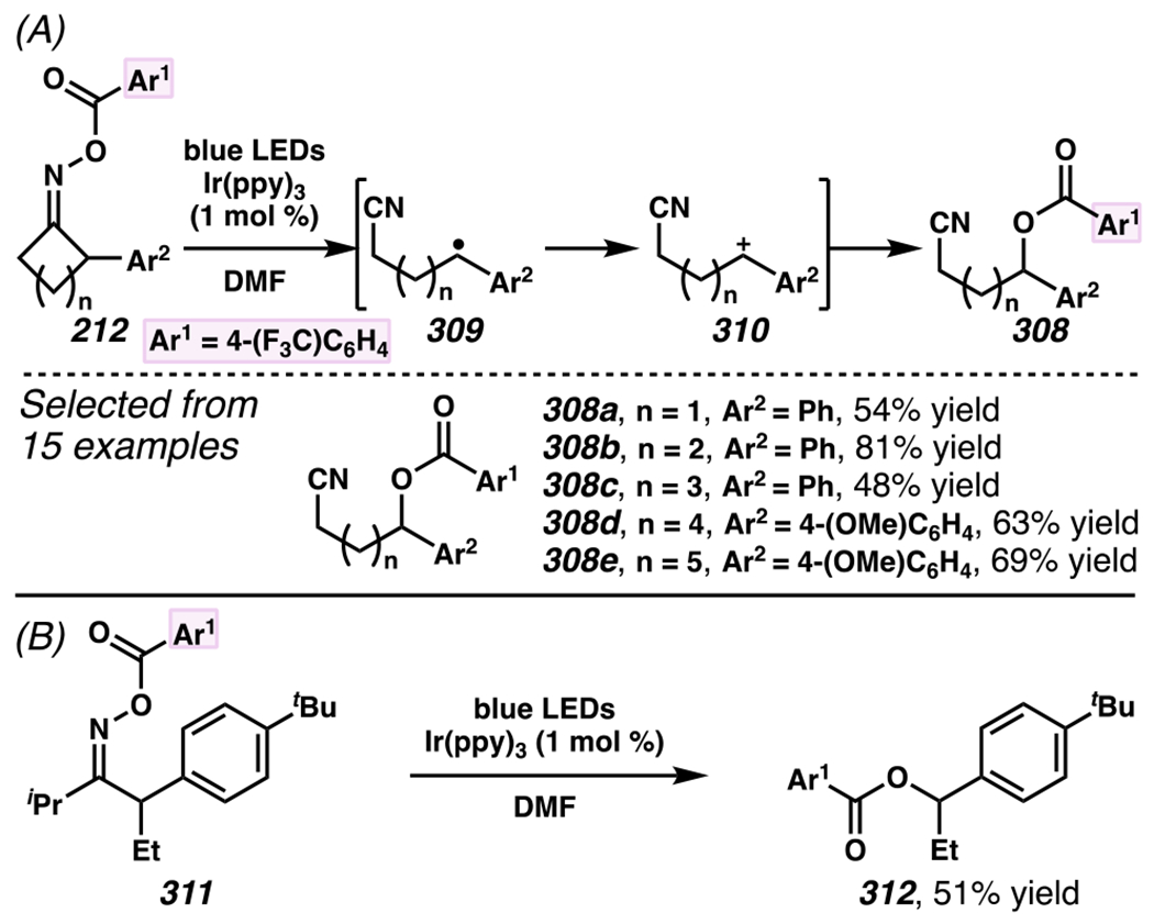 Scheme 74