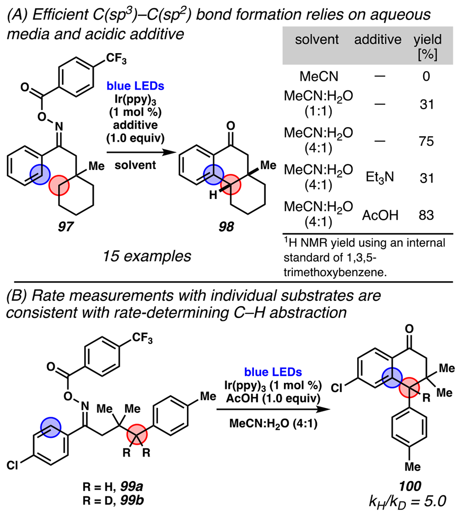 Scheme 29.