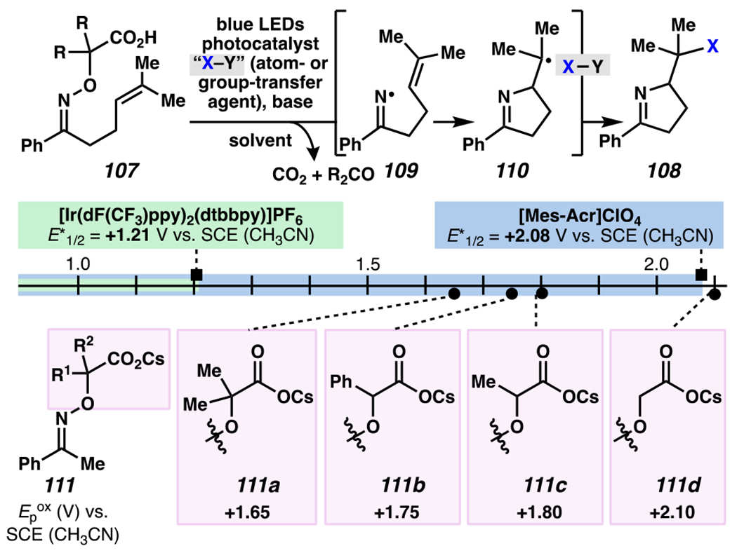 Scheme 32.