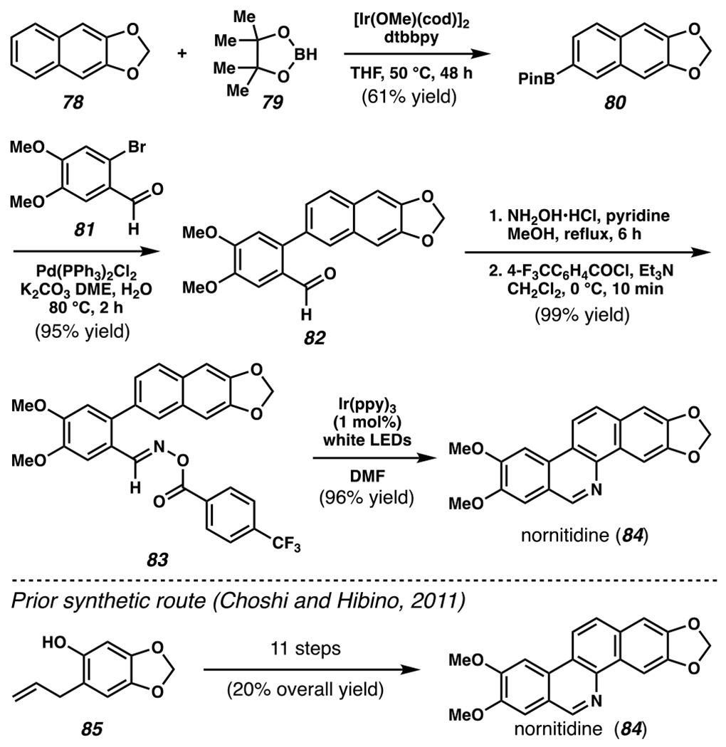 Scheme 25.