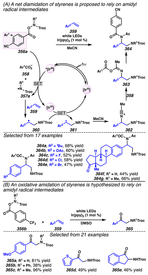 Scheme 83.