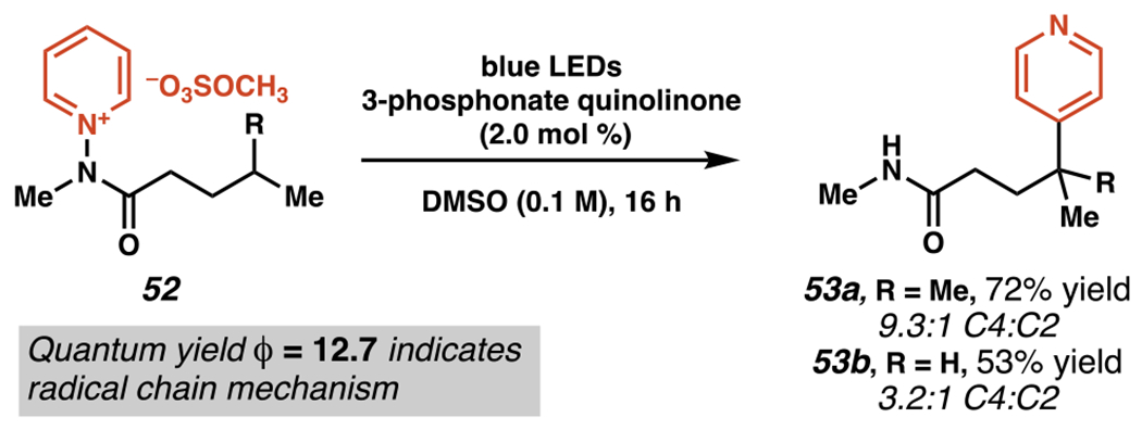 Scheme 19.