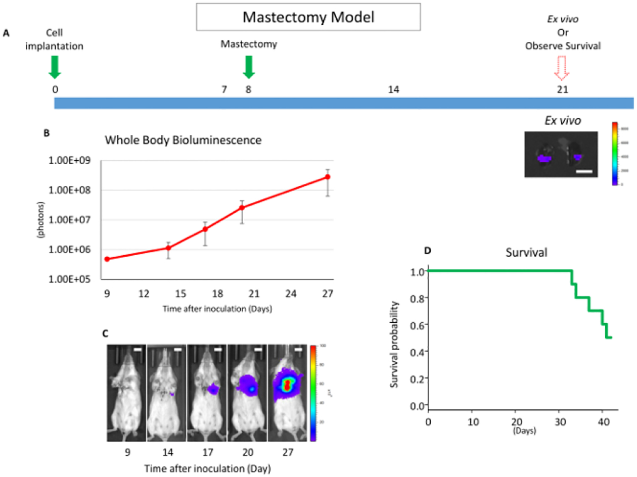 Figure 2: