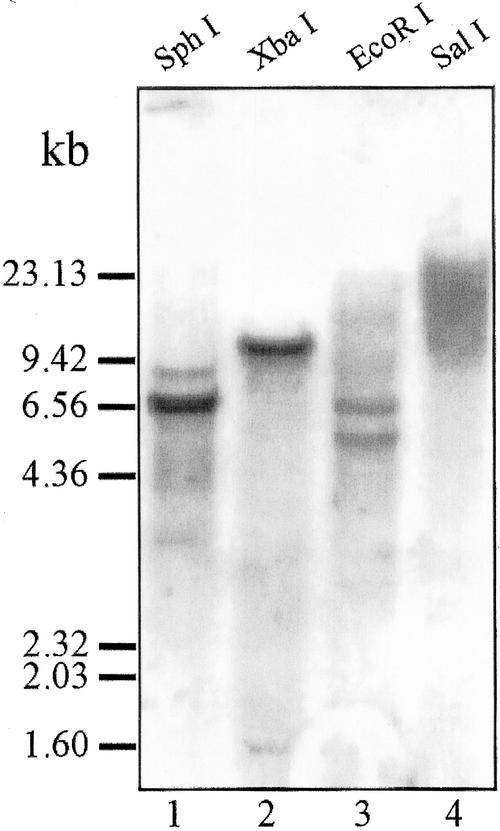 Figure 10