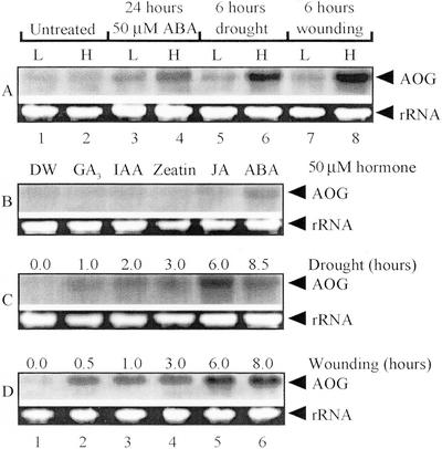 Figure 9