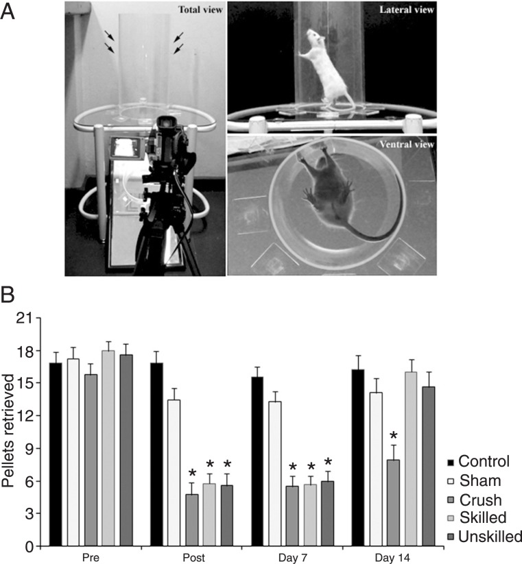 Figure 3.