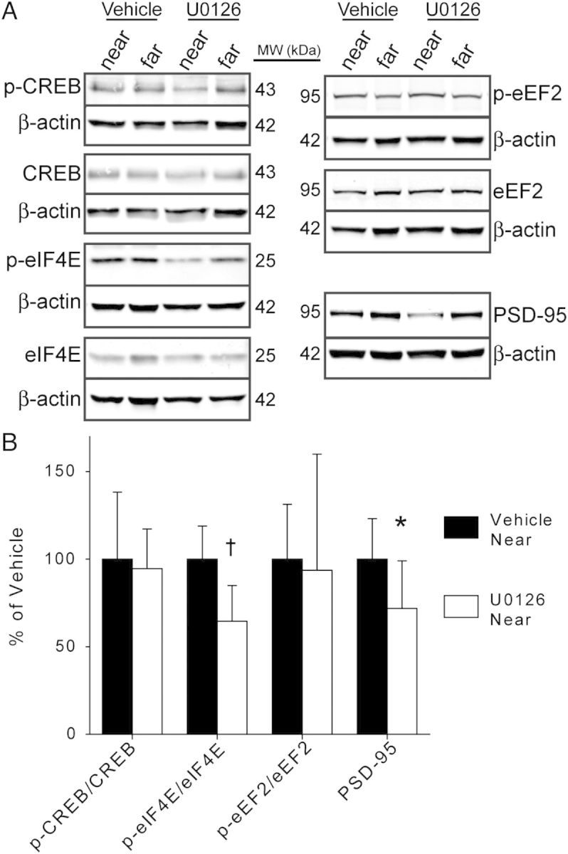 Figure 3.