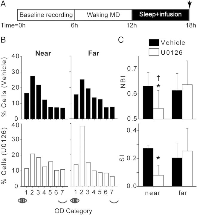 Figure 2.