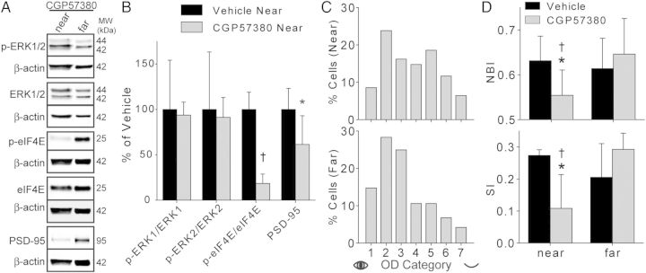 Figure 4.