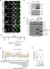 Extended Data Figure 3