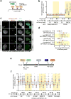 Extended Data Figure 2