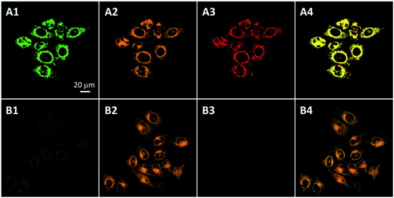 Fig. 4