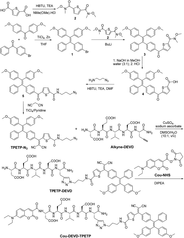 Scheme 2