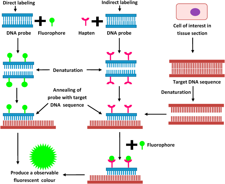 Figure 6