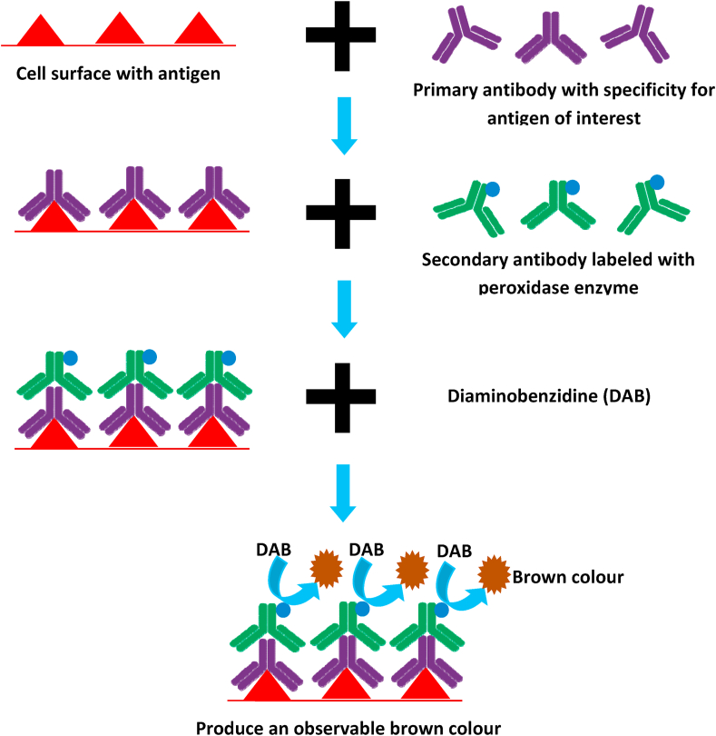 Figure 5