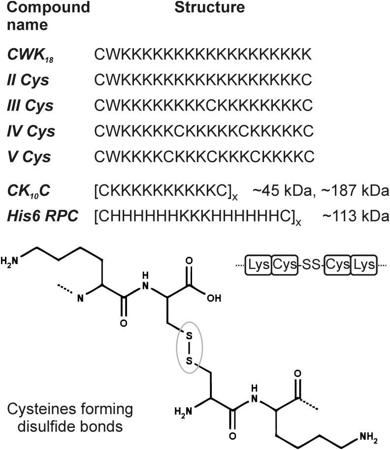 FIG. 2.