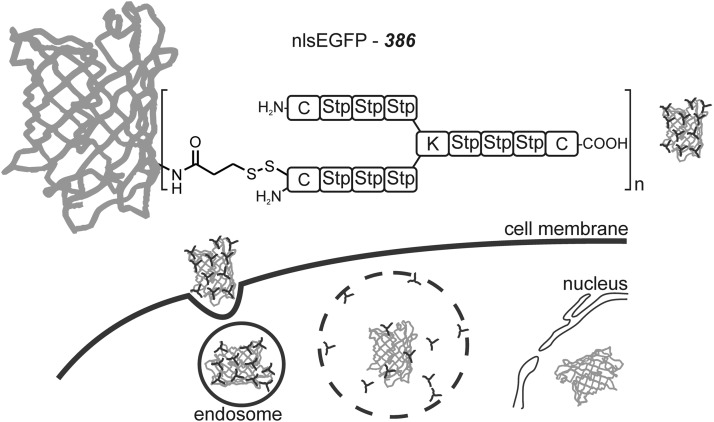 FIG. 7.