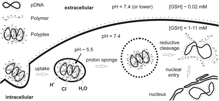 FIG. 1.