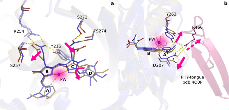 Figure 5.