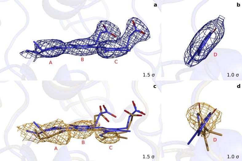 Figure 3—figure supplement 1.