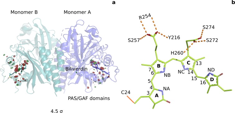 Figure 1.