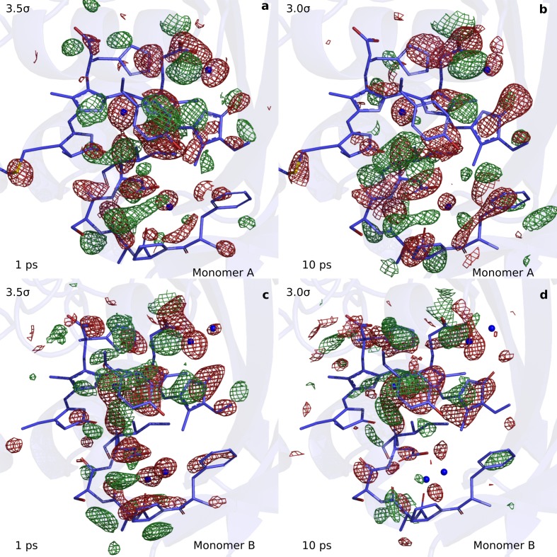 Figure 1—figure supplement 5.