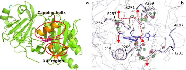 Figure 3—figure supplement 4.