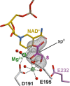 Extended Data Fig. 7