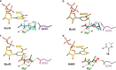 Extended Data Fig. 9