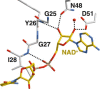 Extended Data Fig. 5