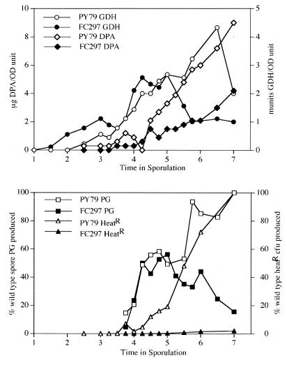 FIG. 5