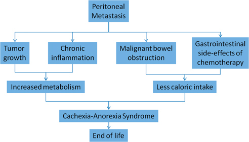 Figure 4: