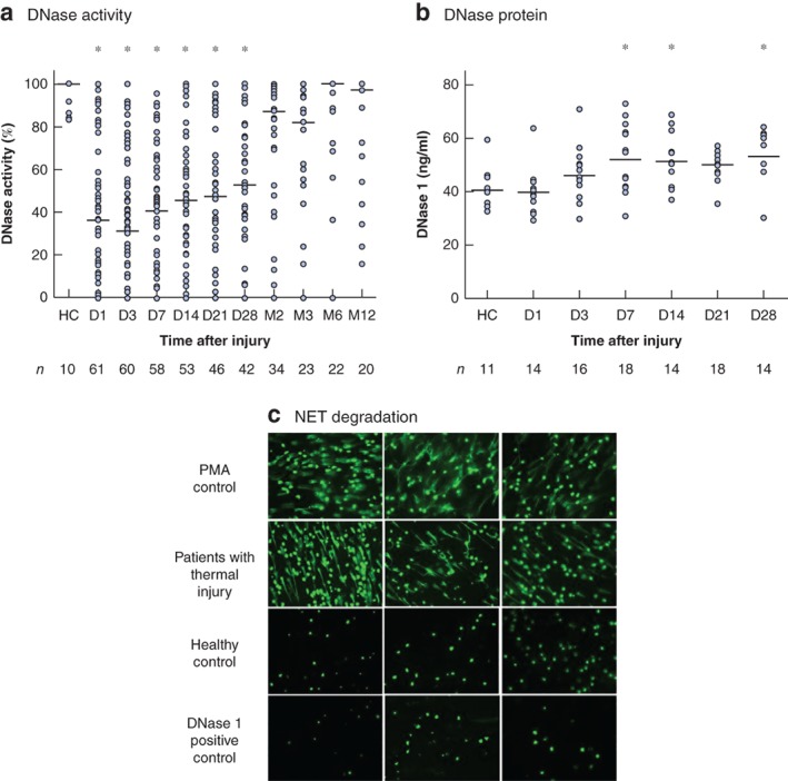 BJS-11310-FIG-0001-c