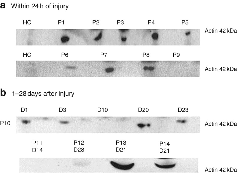 BJS-11310-FIG-0002-b